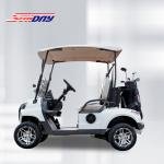 Sundny D2 Golf Cart 2 Seater Golf Cart