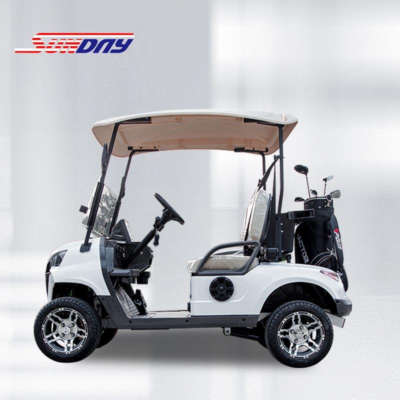 Sundny D2 Golf Cart 2 Seater Golf Cart