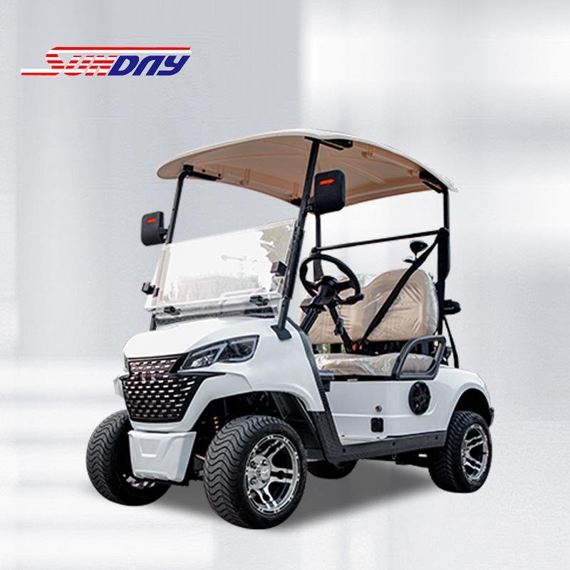 Sundny D2 Golf Cart 2 Seater Golf Cart